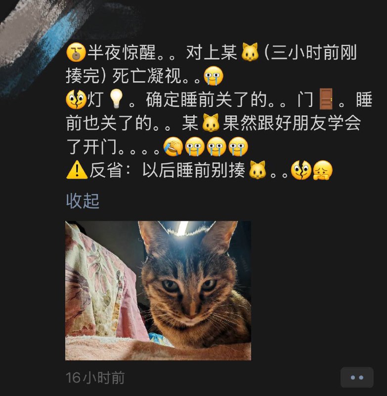 出游期间把我的毛孩子🐈‍⬛寄养在亲人家里，她成功教会了好朋友如何开门