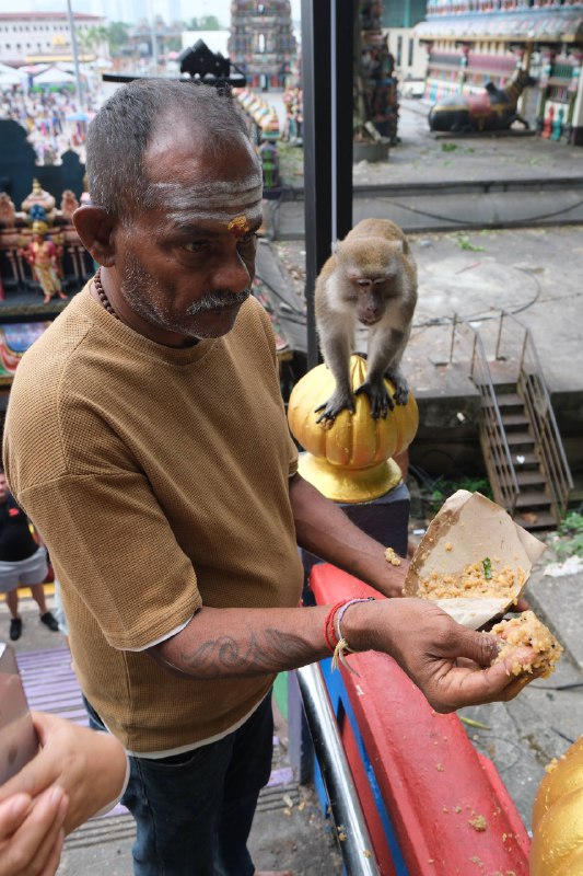 #traveling #Malaysia#KualaLumpur🕉印度教是一个非常有意思的宗教，东南亚诸国均有 #印度教 的传播痕迹：  🇰🇭柬埔寨的吴哥窟  🇮🇩印尼的普兰巴南  🇱🇰斯里兰卡的锡塔安曼神庙  ……而在🇲🇾吉隆坡，印度教的体现是鼎鼎有名的 #黑风洞