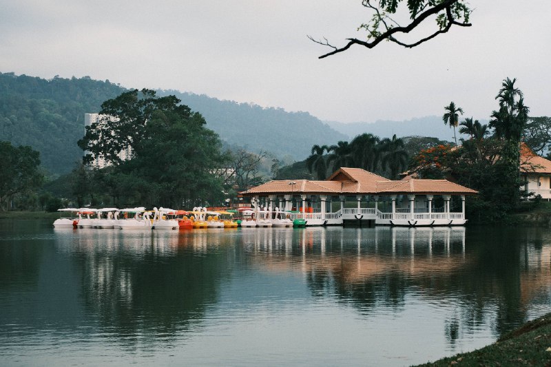 #traveling #Malaysia #Taiping 如果说太平的城市命名只是这座小城不起眼的历史注脚，那午间的🍜华人大排档、入夜后当街摆放的食肆摊贩🏬（P2-P3）或许才是它真正的底色