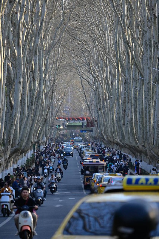 #traveling #南京南京的景点异常众多，此次三天的短暂停留势必只能简单速通了