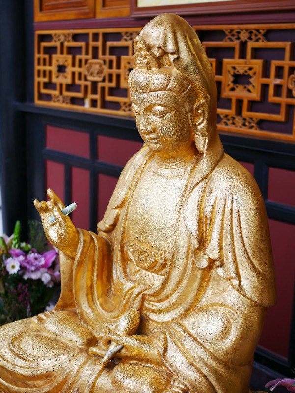 #traveling #成都每个城市都有属于每个人的第一印象