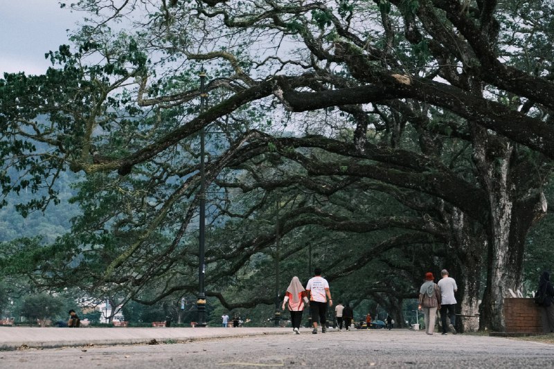 #traveling #Malaysia #Taiping 如果说太平的城市命名只是这座小城不起眼的历史注脚，那午间的🍜华人大排档、入夜后当街摆放的食肆摊贩🏬（P2-P3）或许才是它真正的底色