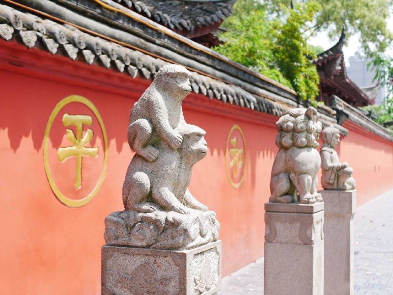 #traveling #成都每个城市都有属于每个人的第一印象