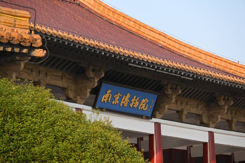 #traveling #南京南京的景点异常众多，此次三天的短暂停留势必只能简单速通了