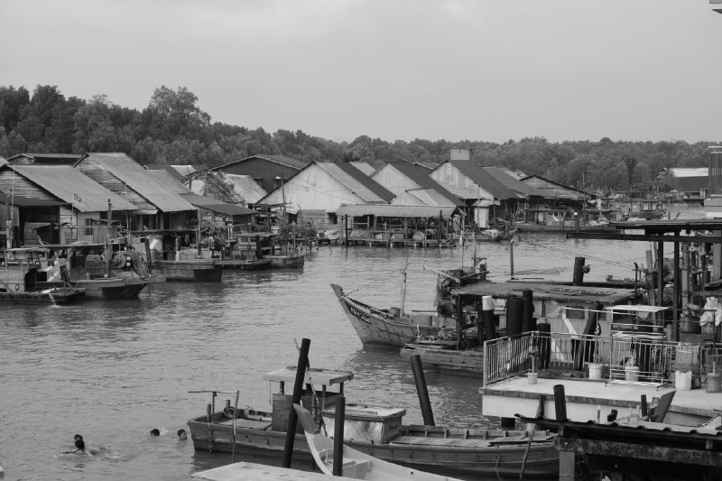 #traveling #Malaysia #KualaSepetang 十八丁（Kuala Sepetang），旧称砵威（Port Weld），是霹雳州太平附近的一个著名百年华人渔村