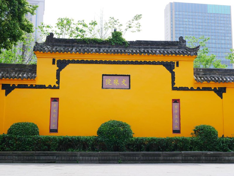 #traveling #成都每个城市都有属于每个人的第一印象