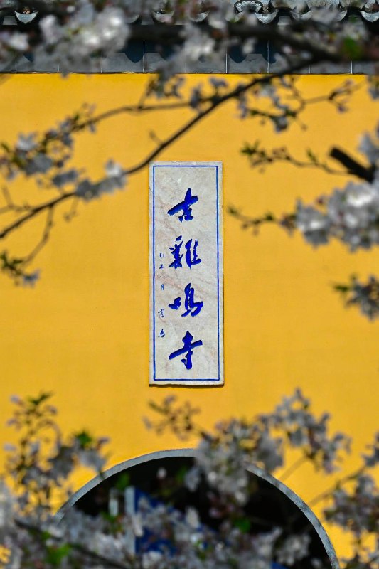 #traveling #南京南京的景点异常众多，此次三天的短暂停留势必只能简单速通了