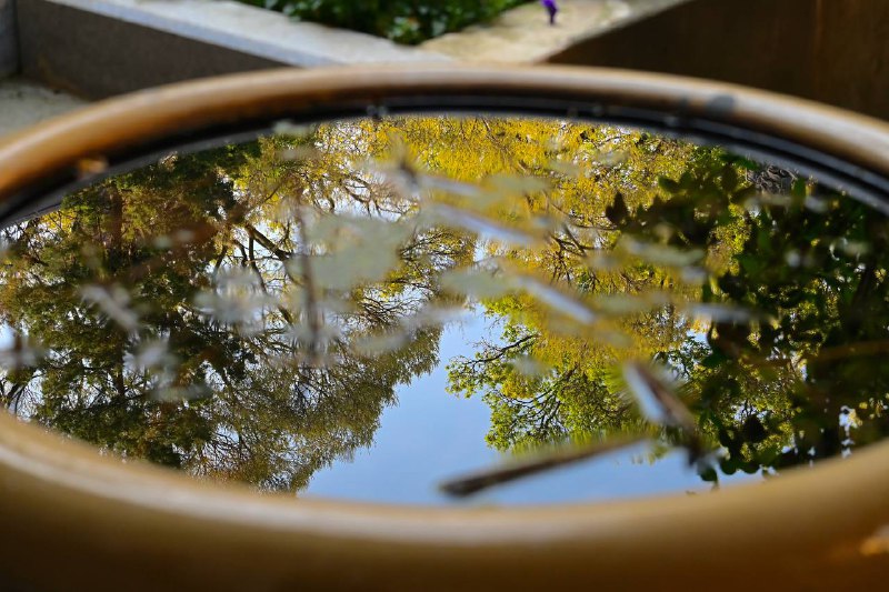 #traveling #南京上海 F1 观赛结束后，我顺道造访了六朝古都南京