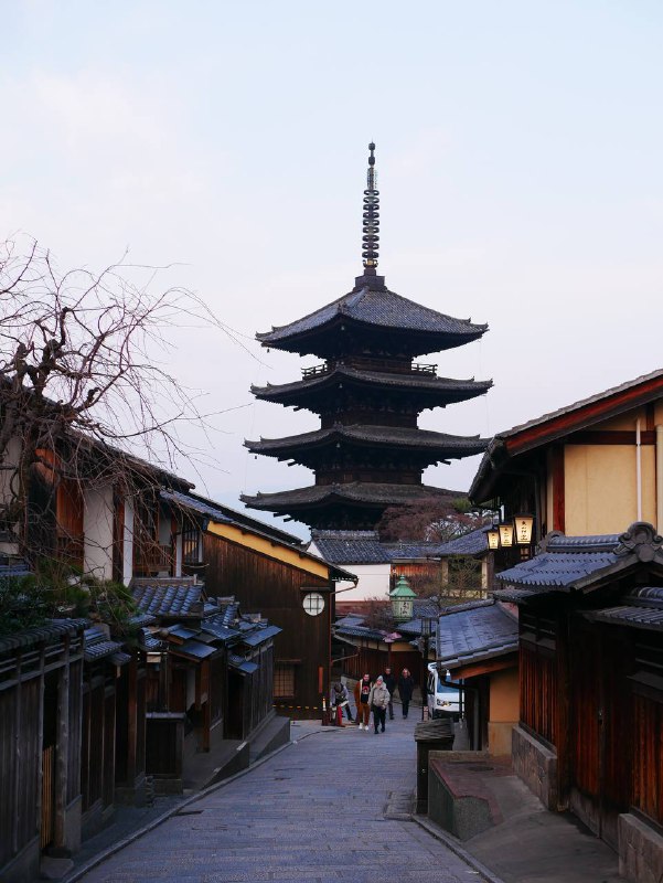 #traveling #Japan#Kyoto如果非要给 2025 的第一次旅行找一个主题的话，那或许应该是《关西二周目》上一次是暖风徐徐的盛夏，而这一次是凛冽的寒冬