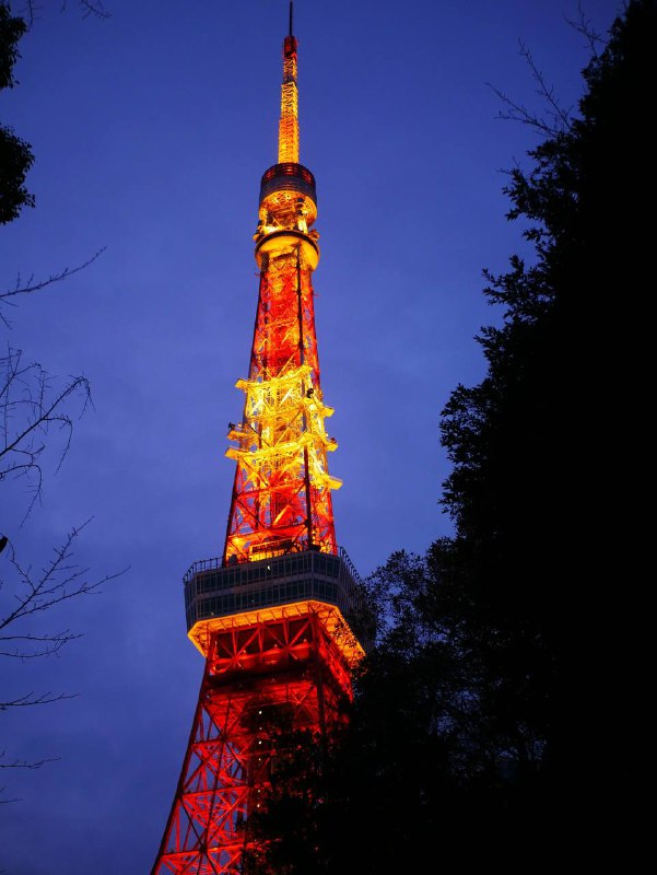 #traveling #Japan#Tokyo东京给人的都市氛围是与众不同的