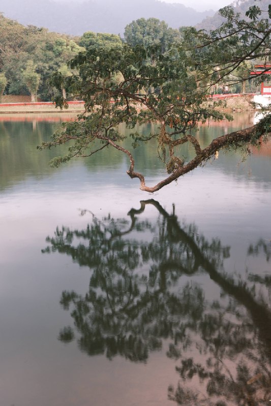 #traveling #Malaysia #Taiping 如果说太平的城市命名只是这座小城不起眼的历史注脚，那午间的🍜华人大排档、入夜后当街摆放的食肆摊贩🏬（P2-P3）或许才是它真正的底色