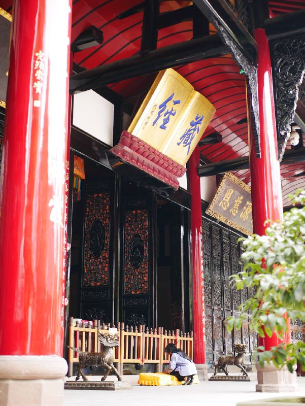 #traveling #成都每个城市都有属于每个人的第一印象