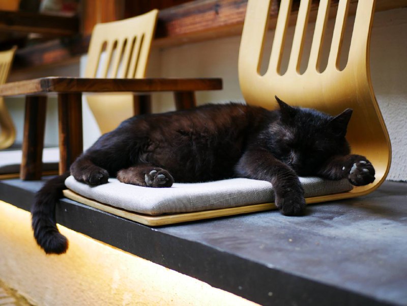 #traveling #成都每个城市都有属于每个人的第一印象