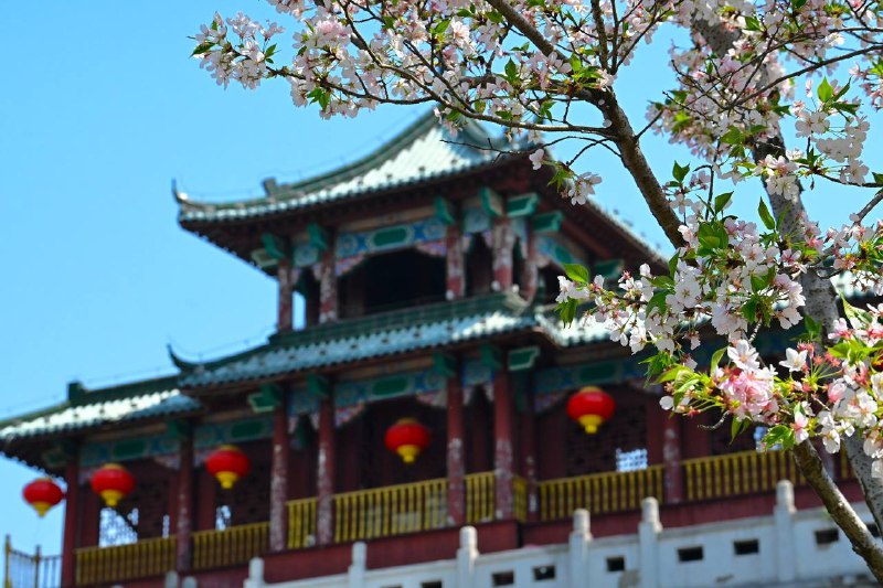 #traveling #南京南京的景点异常众多，此次三天的短暂停留势必只能简单速通了