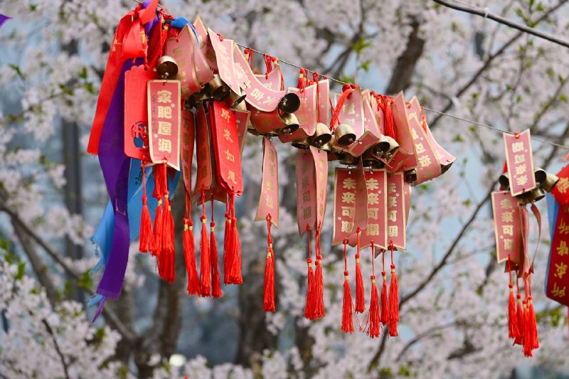 #traveling #南京南京的景点异常众多，此次三天的短暂停留势必只能简单速通了